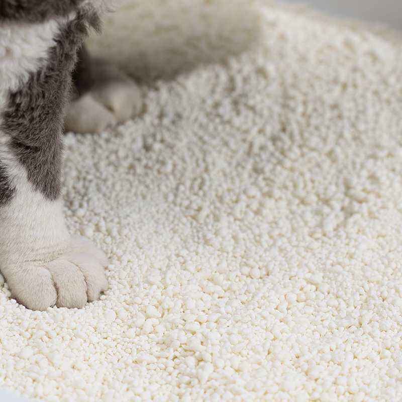 Sécurité des litières de maïs, avantages et inconvénients, et les meilleures alternatives pour les propriétaires de chats
