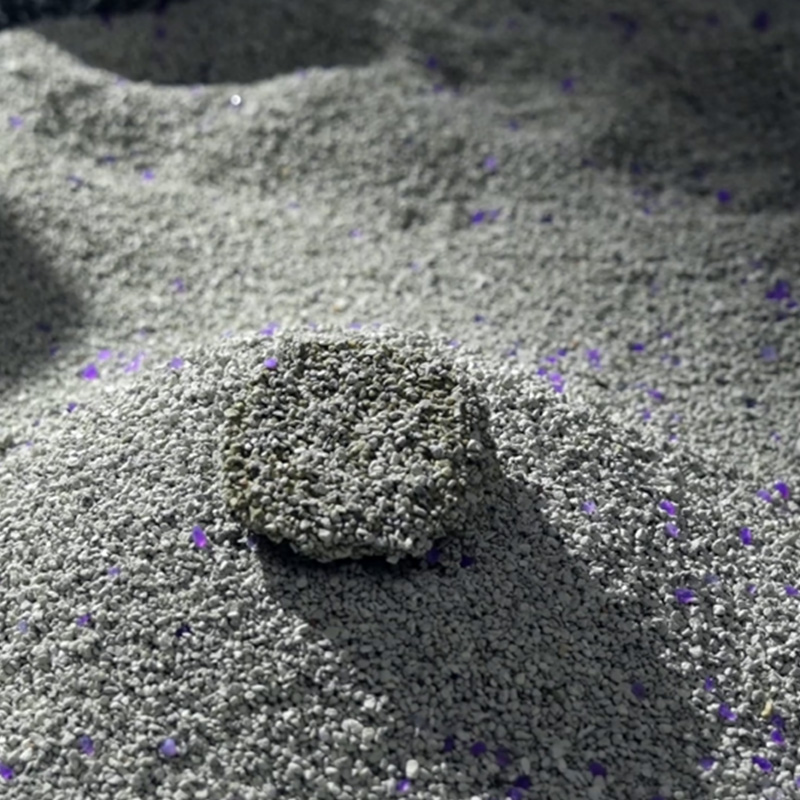 Choisir la meilleure litière minérale pour chat : conseils pratiques pour une maison plus propre